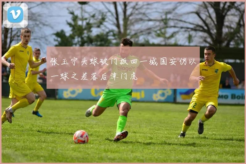 张玉宁头球破门扳回一城国安仍以一球之差落后津门虎