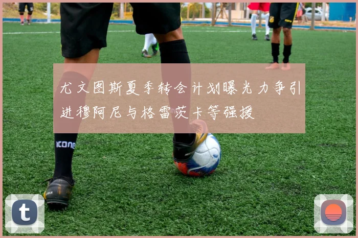 尤文图斯夏季转会计划曝光力争引进穆阿尼与格雷茨卡等强援